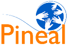 logo-pineal-color_small.png